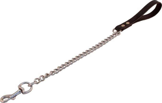 Dog leash with short chain