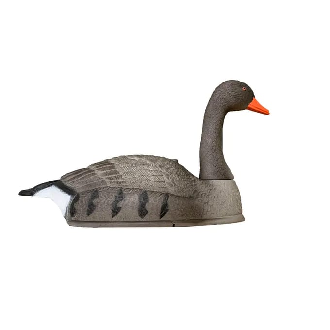Appelers met grauwe gans schelp Stepland (x12)