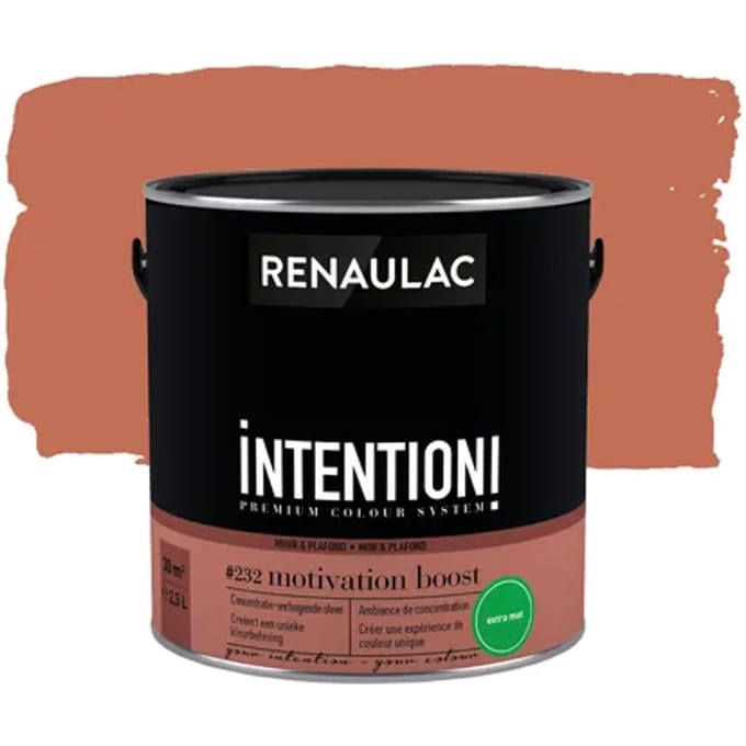 Renaulac Intention Muurverf - Extra Mat - Motivation Boost - 2,5l