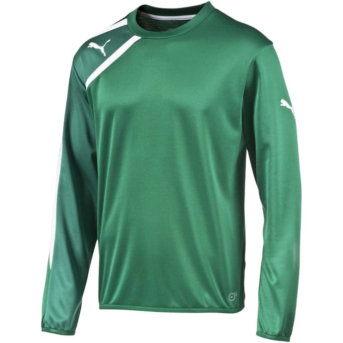 Puma Heren-sweatshirt 'Spirit Regular' (Groen)