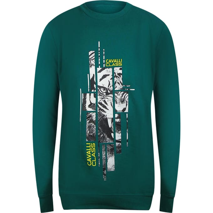Cavalli Class Splintered Tiger Grafisch Groen Ottanio Sweatshirt