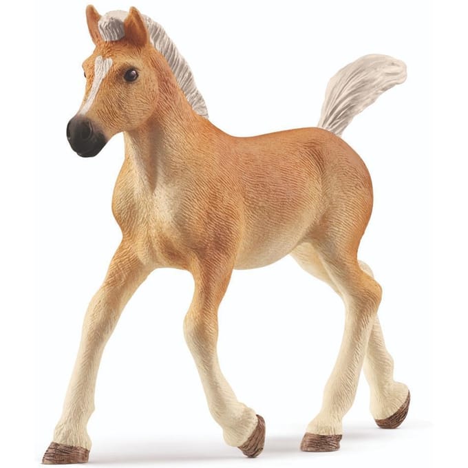 schleich HORSE CLUB - Haflingerveulen - 13951