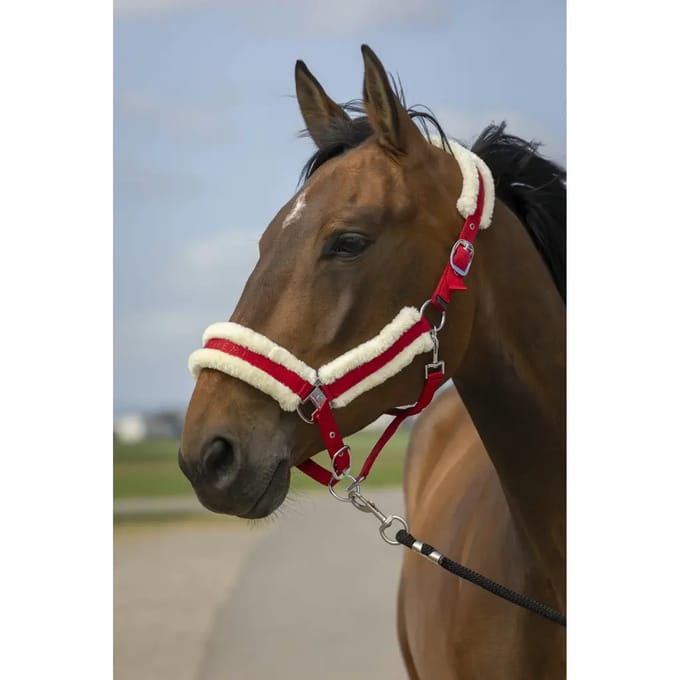 Schapenvacht nylon halster Equithème