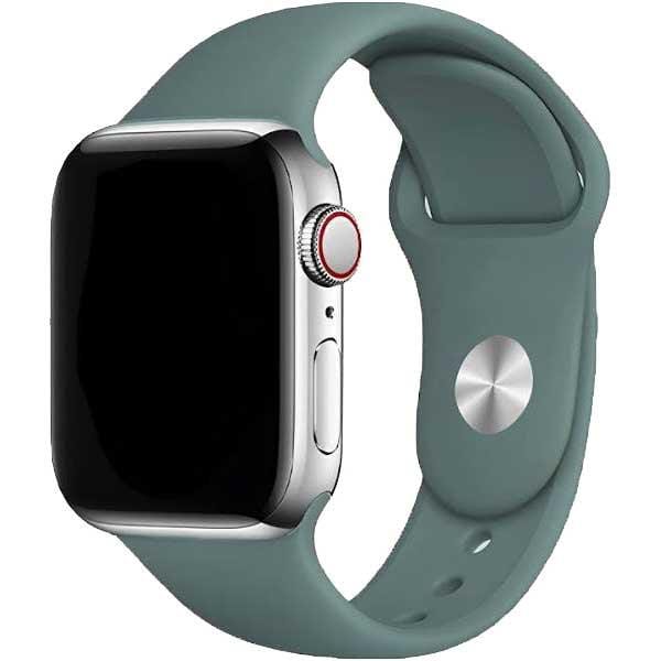 2+1 | Apple Watch Bandje Vyon - Siliconen - Cactus