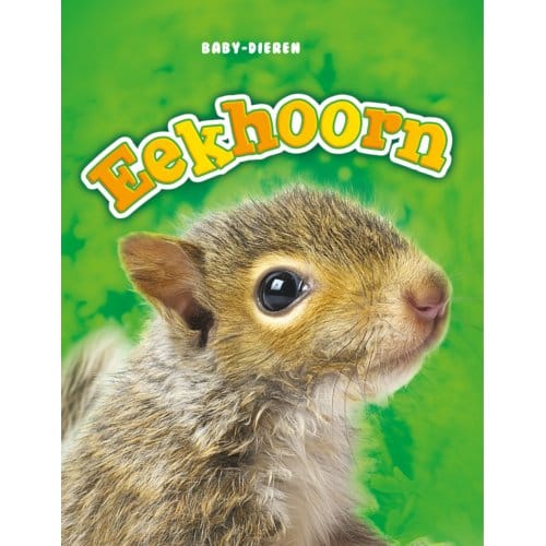 Eekhoorn - Baby-Dieren - Megan Borgert-Spaniol