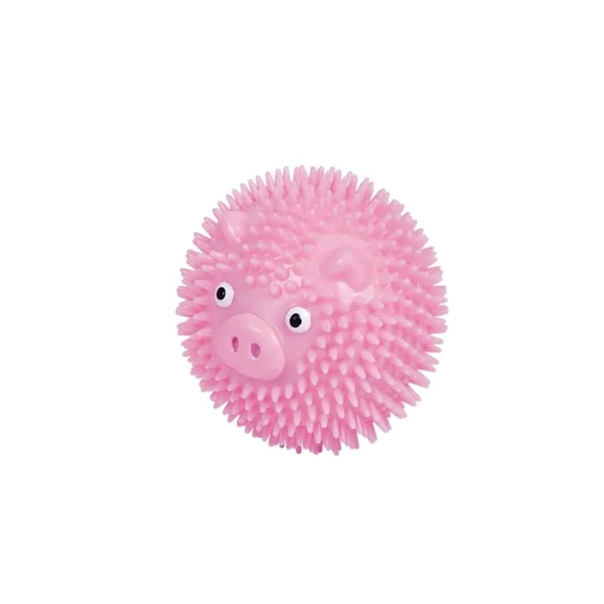 Hondenspeelbal met stekels varken in TPR Nobby Pet