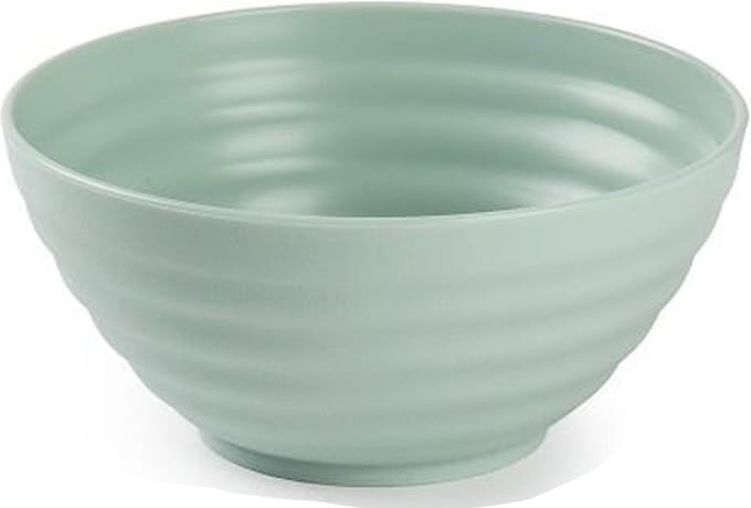 Plasticforte Schaaltjes - mint groen - kunststof - 14 x 6.5 cm - kommen
