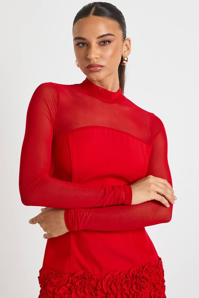 boohoo Dames 3D Bloemen Mesh met panelen Mini Jurk | Red | Maat: 14