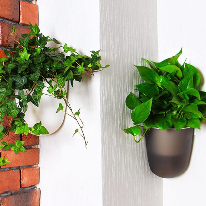 Hoek Wandgemonteerde Bloempot Zelfwaterende Bloempot Plastic Plantenpot wit