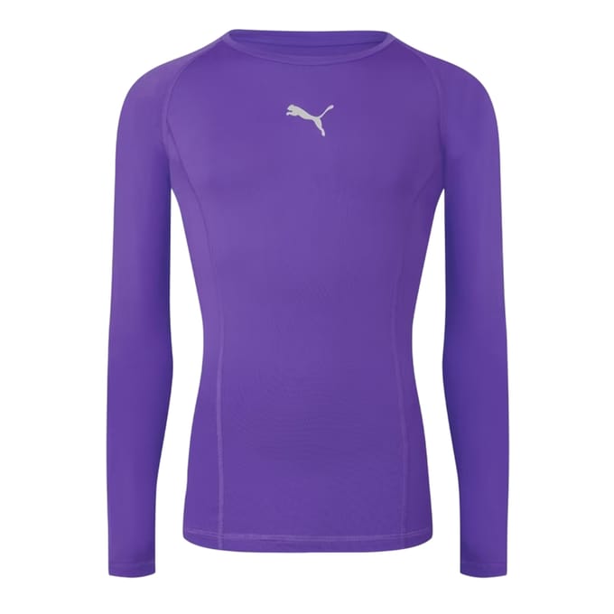 Puma Heren Liga Langsleeve T-shirt (Prism Violet)
