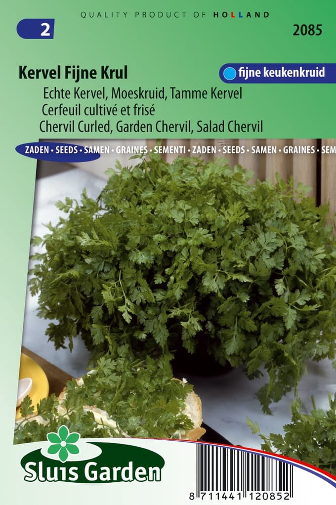 Sluis Garden - Kervel Fijne Krul