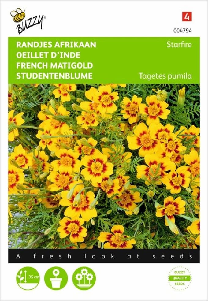 Buzzy Zaden - Afrikaantje Starfire (Tagetes tenuifolia)