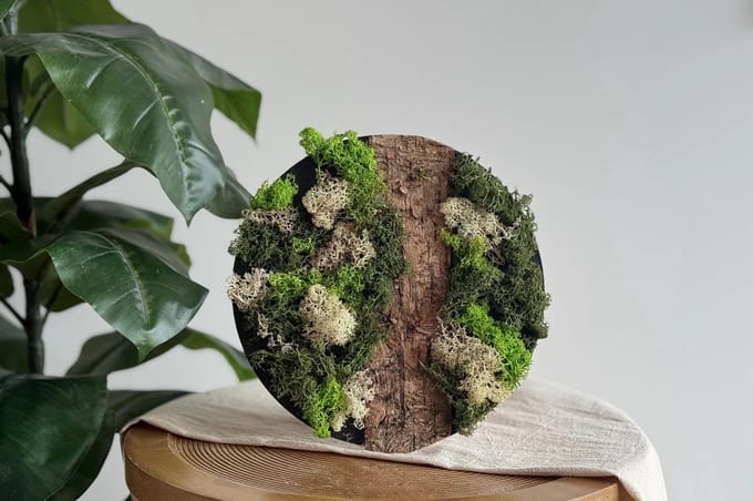 DIY Pakket Mos Schilderij Wit