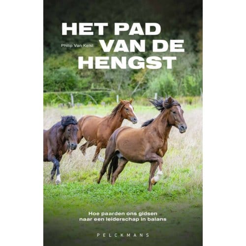 Het Pad Van De Hengst - Philip Van Kelst