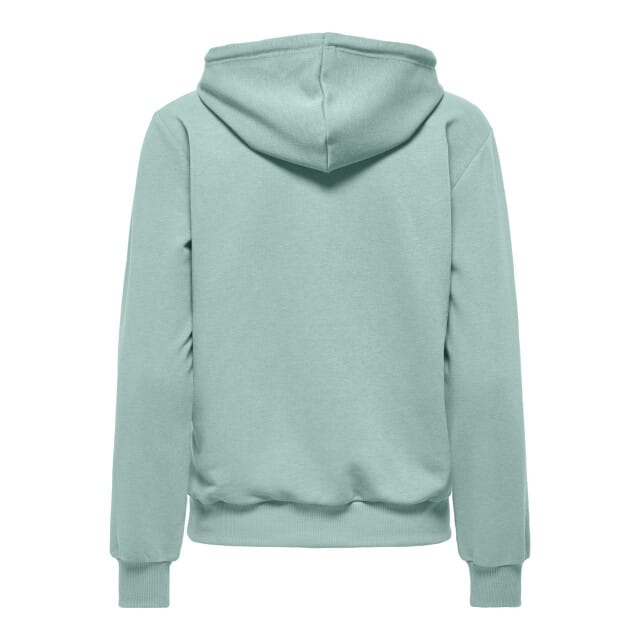 ONLY PLAY - cava life hood ls loose sweat - Training hoodie dames - Grijs