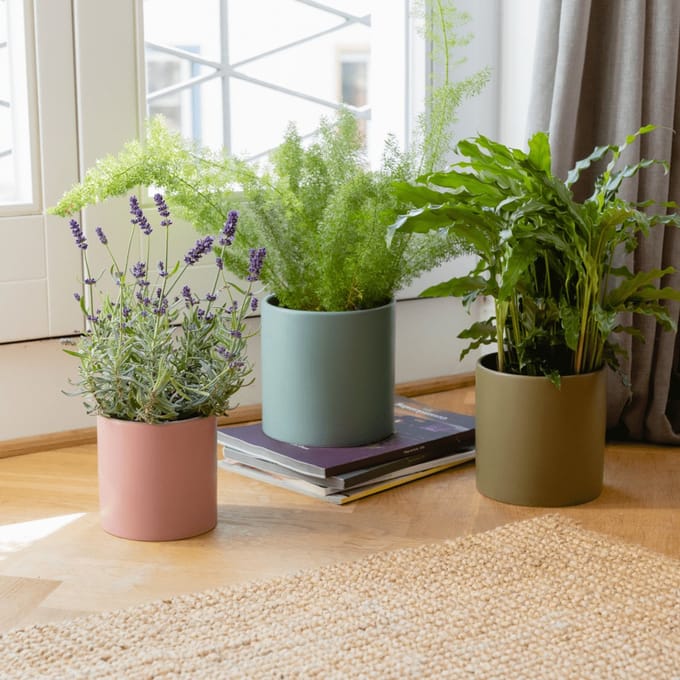 Remember Plant pots set 3 pcs - Turin