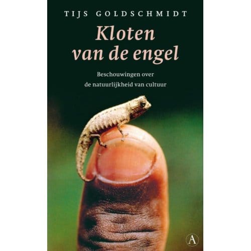 Kloten Van De Engel - T. Goldschmidt