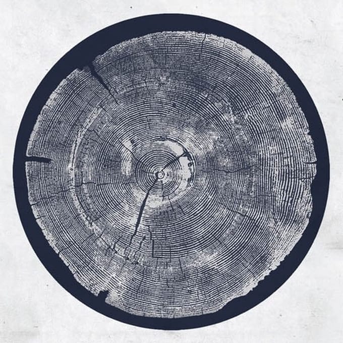 Roy Montgomery - R: Tropic Of Anodyne (LP)