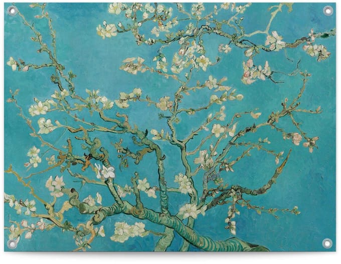 Tuinposter Van Gogh - Amandelbloesem - 60 x 80 - Canvas - REINDERS