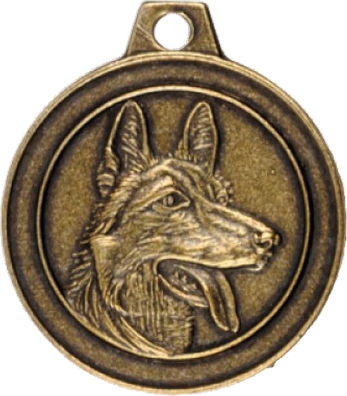 Hondenpenning Rashond Herder