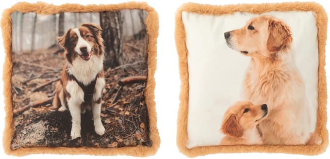 J-Line kussen Hond - polyresin - bruin/beige - small - 2 stuks