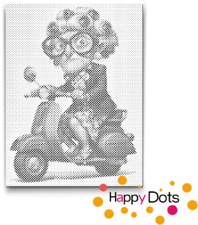 HappyDots DOT Painting Gekke oma's 01 - 30x40cm