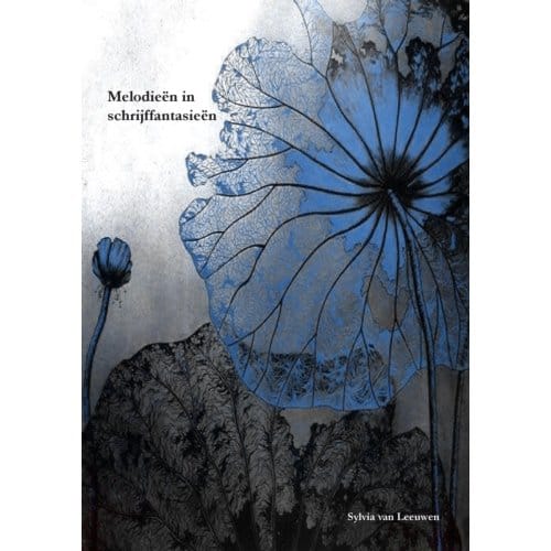 Melodieën In Schrijffantasieën - Sylvia Van Leeuwen