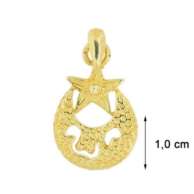 Blinx Jewels Vergulden Hanger Maan Ster Allah Turks Islam