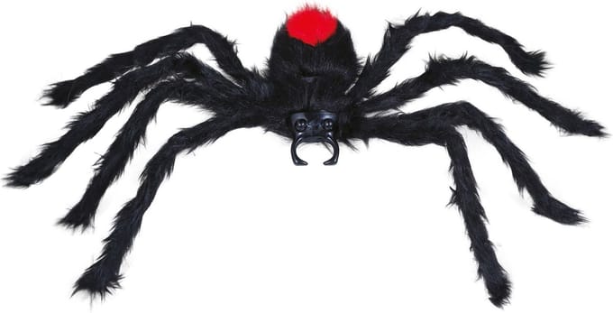 Fiestas Horror spin groot - Halloween decoratie/versiering - zwart - 60 cm- Griezelige thema accessoires
