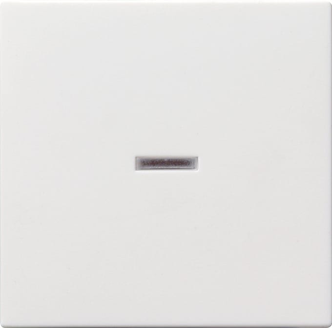 Gira Systeem 55 Besturingselement/Centrale plaat Schakelmateriaal - 029003 - E2FUK