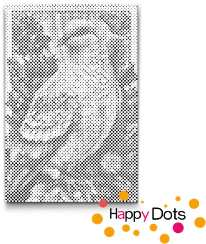 HappyDots DOT Painting Vogels 09 - 40x60cm