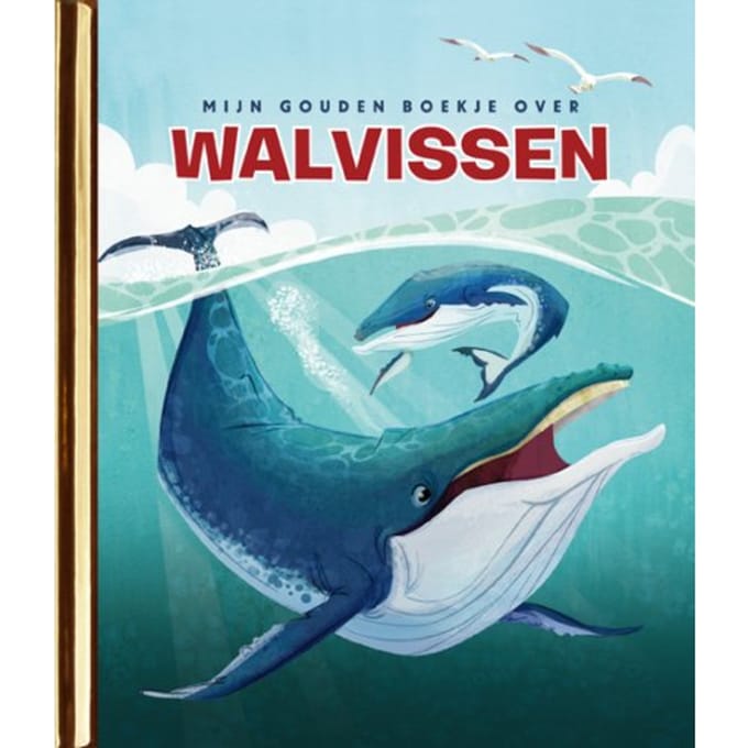 Mijn Gouden Boekje Over Walvissen - Gouden Boekjes