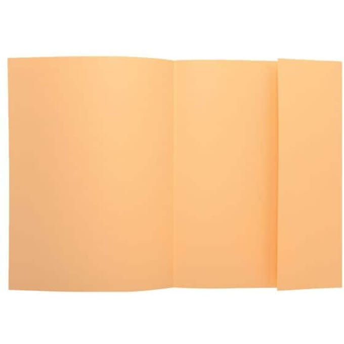 Exacompta SUPER 210 - Pak van 50 dossiermappen met 1 klep - 24x32cm - Gems - 339002E