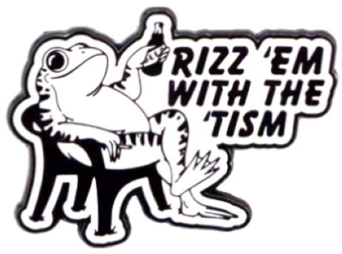 Pin Broche - enamel pin - kledingspeld - Rizz