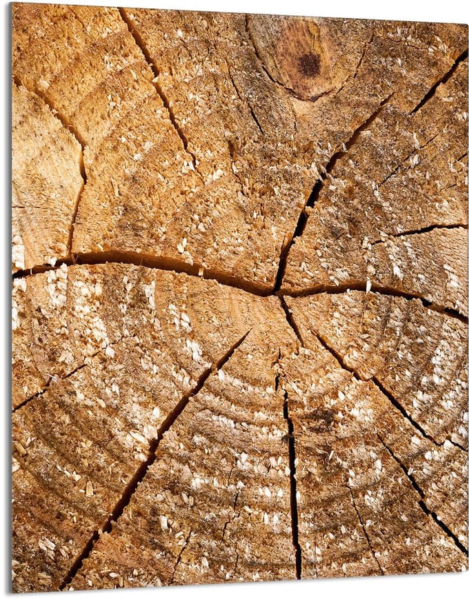 TMK ArtDeko Serie - Snijplank - Glas - 40x52 cm - Multifunctioneel