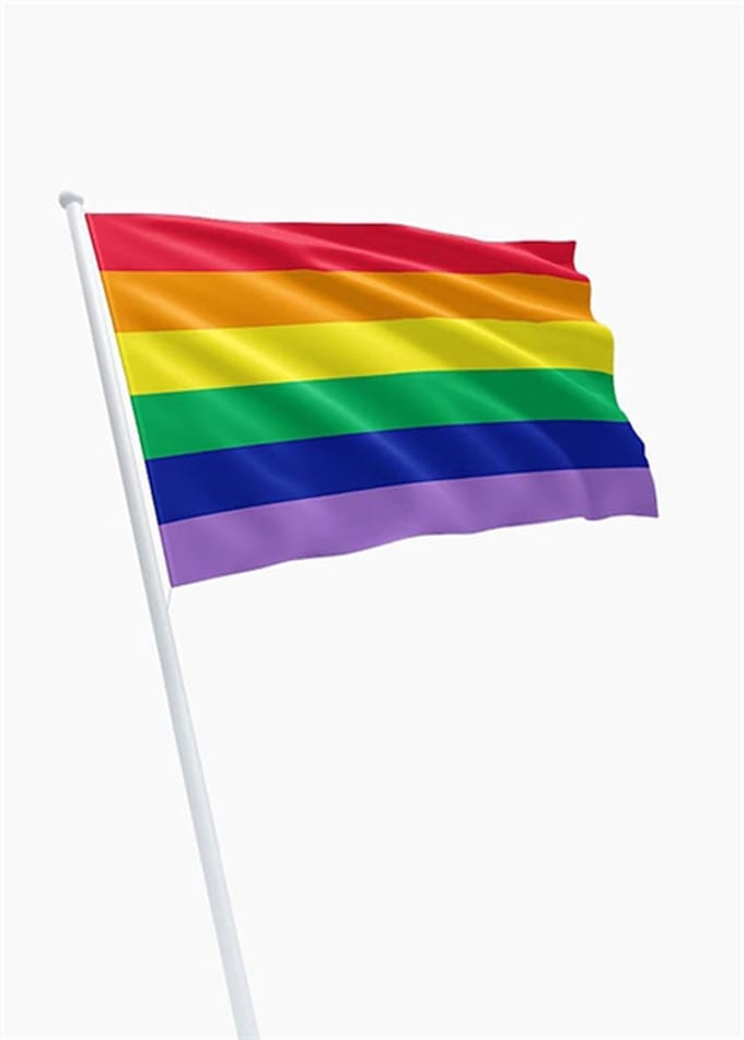 Pride regenboog vlag 90 x 150 cm