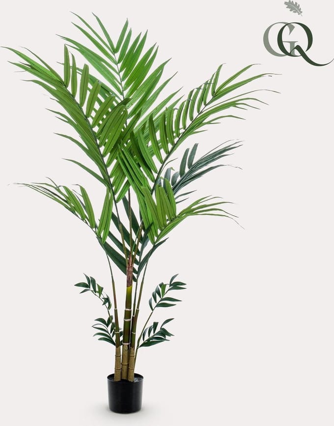 Kunstplant - Kentia -Kentiapalm - 180 cm