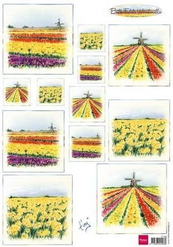 Marianne Design 3D Knipvel  Bulb fields windmills - 5x knipvel windmolen - bloemen