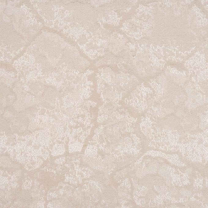 Vloerkleed Xilento Discovery Beige | 200 x 300 cm