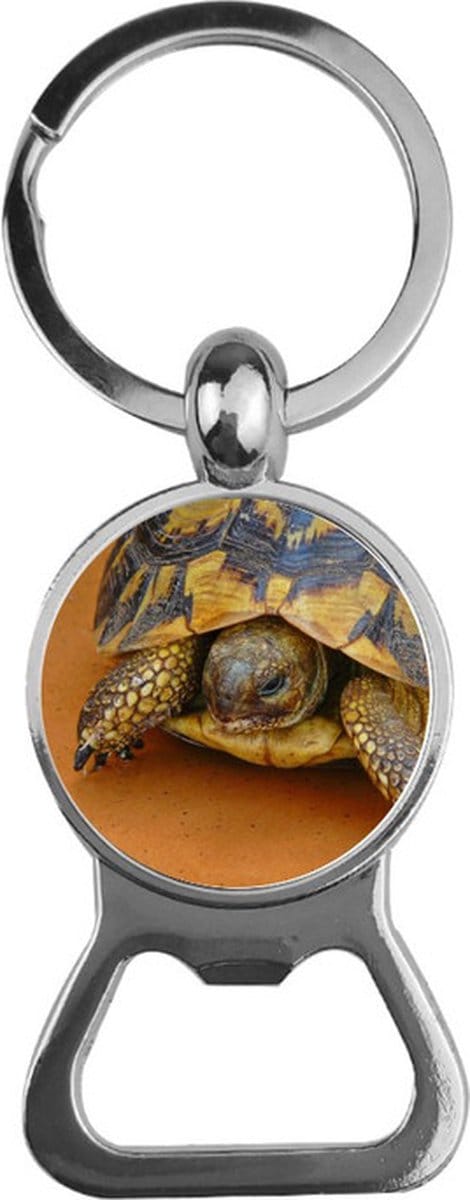 Bieropener Glas - Schildpad