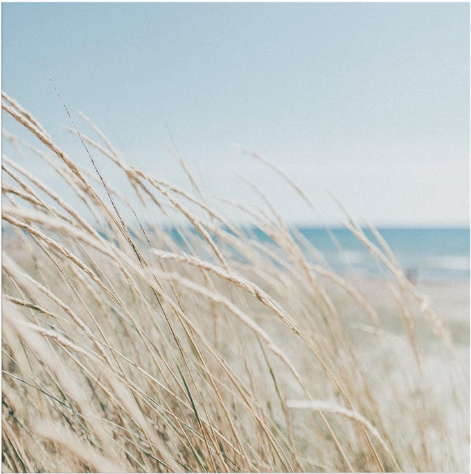 Art for the Home Buitencanvas Strand