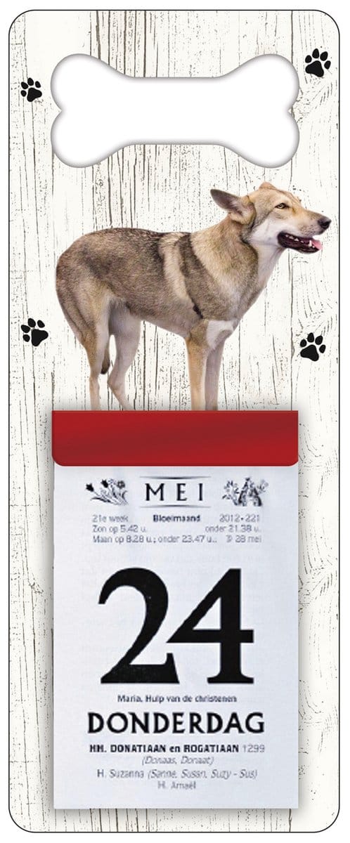 Scheurkalender 2027 Hond: Saarloos Wolfhond