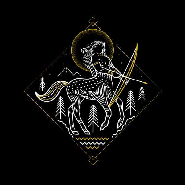 Harry Potter Ban de Centaur trui - Zwart - L