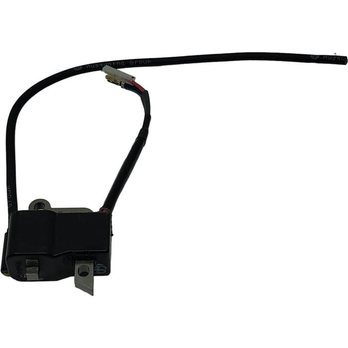 Ignition module