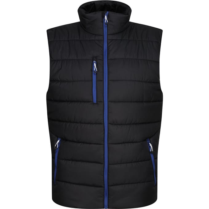 Regatta Thermische bodywarmer Navigate voor heren (Zwart/Nieuw Royal)