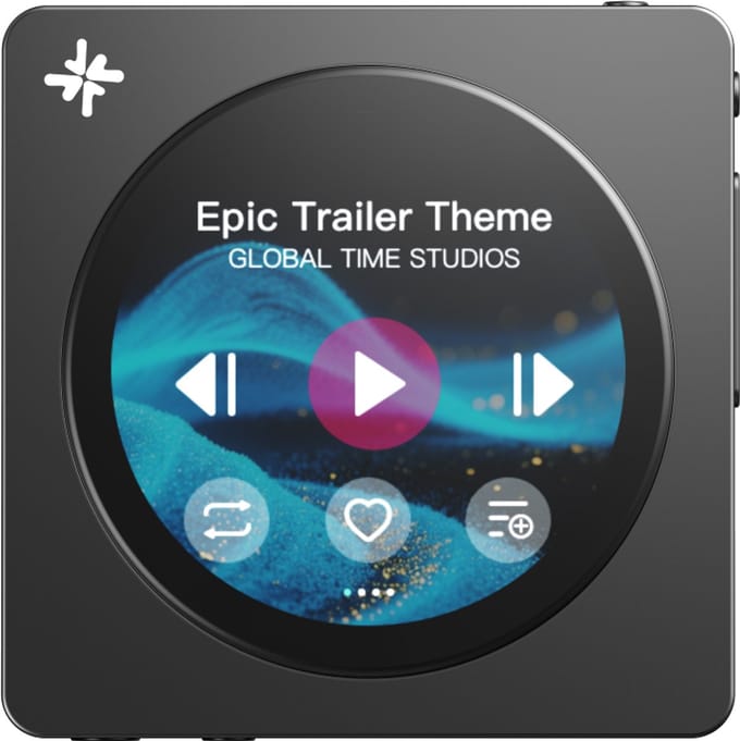 FiiO Snowsky DISC - Zwart