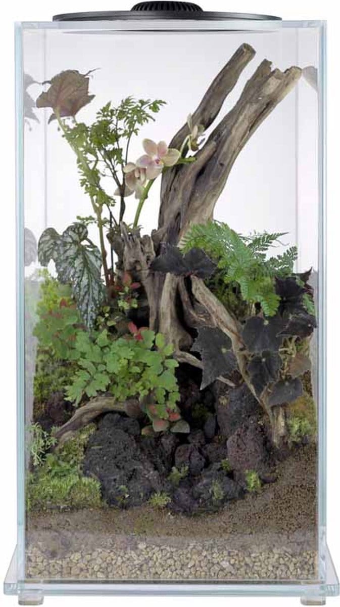 Wabi Kusa Bio Tower 220 miniatuurtuin met LED zwart 22 x 41 cm