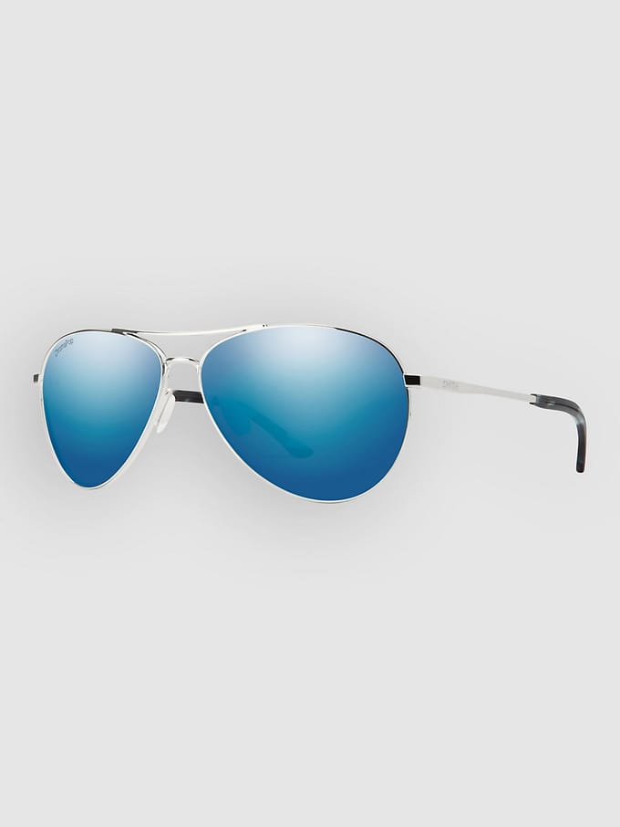 Smith Langley 2 Silver Zonnebril grijs