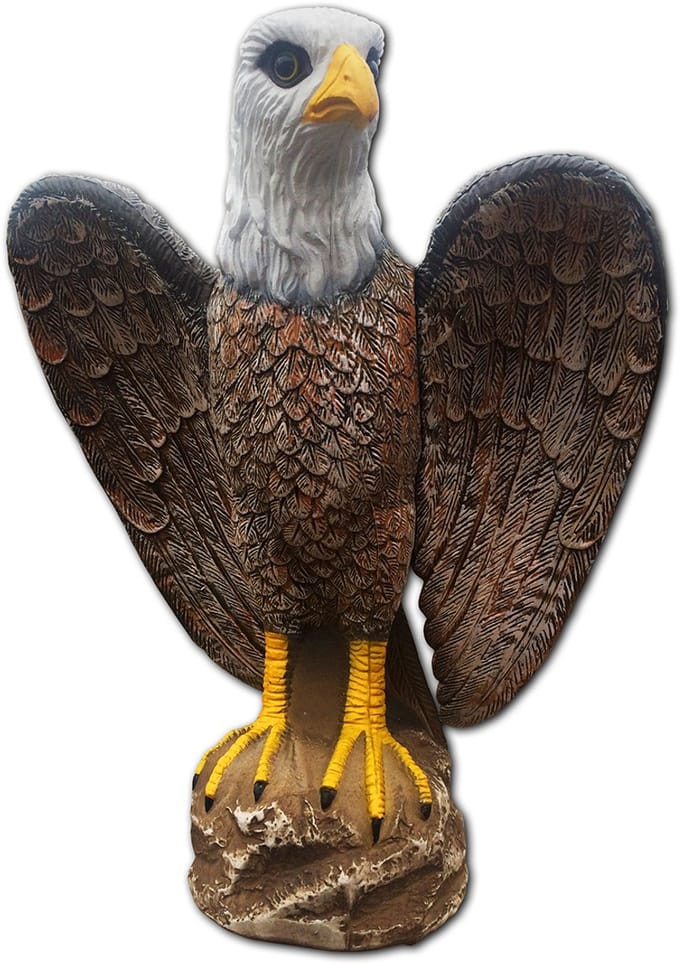 Gevleugelde arend met geluid en lager, Winged Eagle