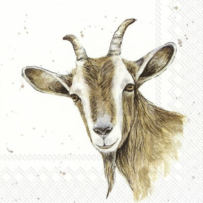 20x Gekleurde 3-laags servetten geit 33 x 33 cm - Geit/dieren thema